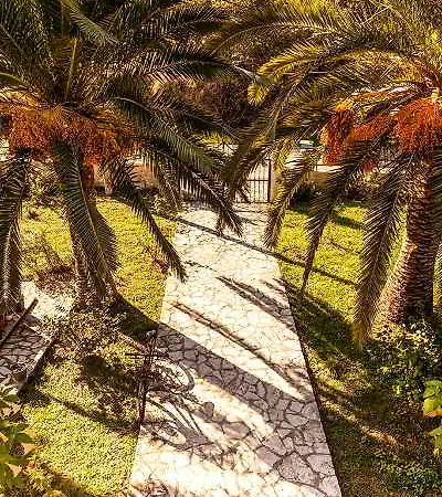Haroula