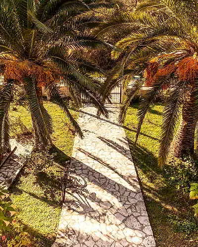 Haroula